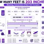 how many feet is 203 inches